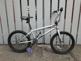 mongoose subject 2012